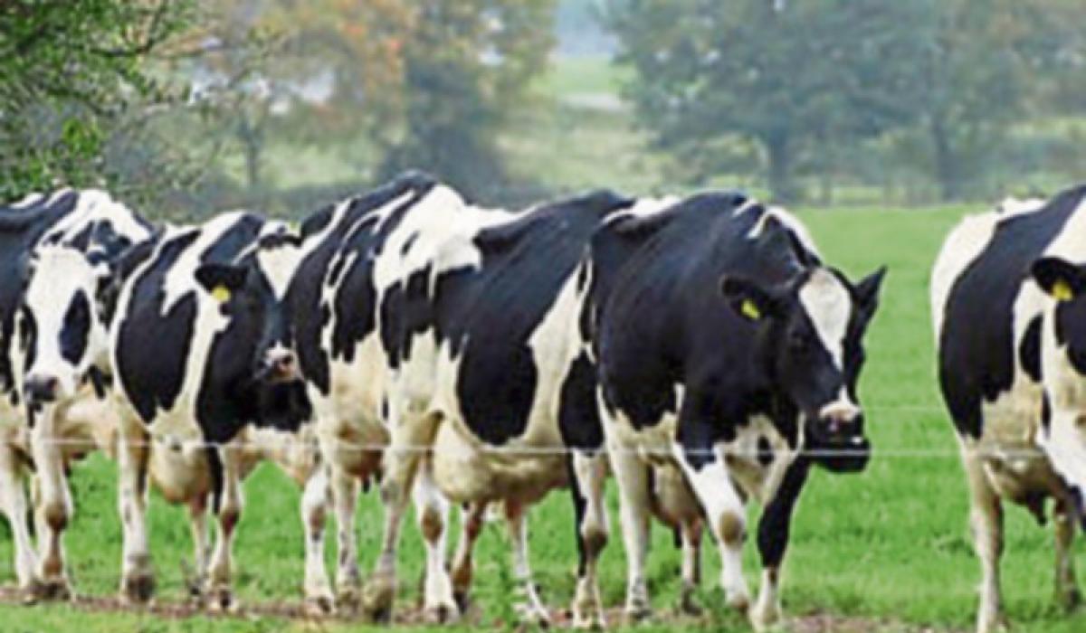Longford farming: Nitrates outcome a relief but 'long term solution needed'