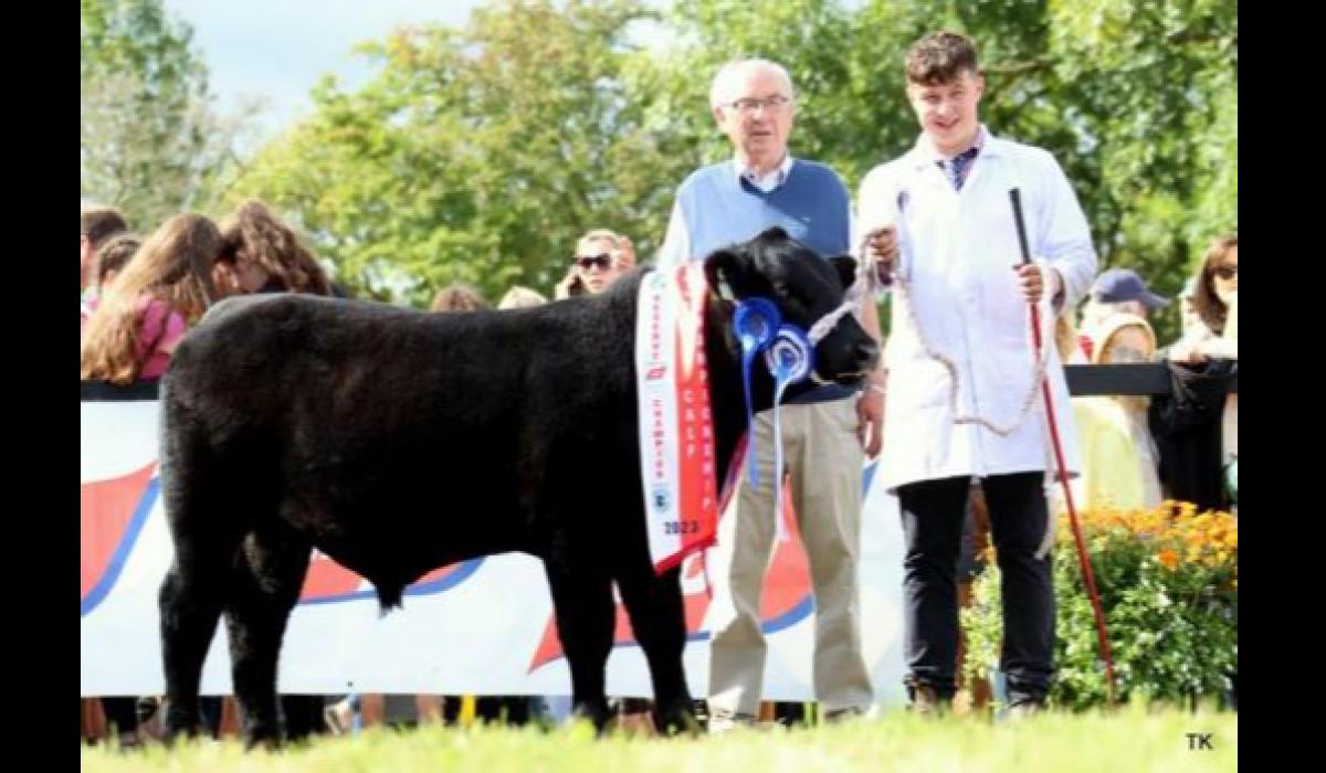 Longford breeders capture prestigious AllIreland title Longford Live