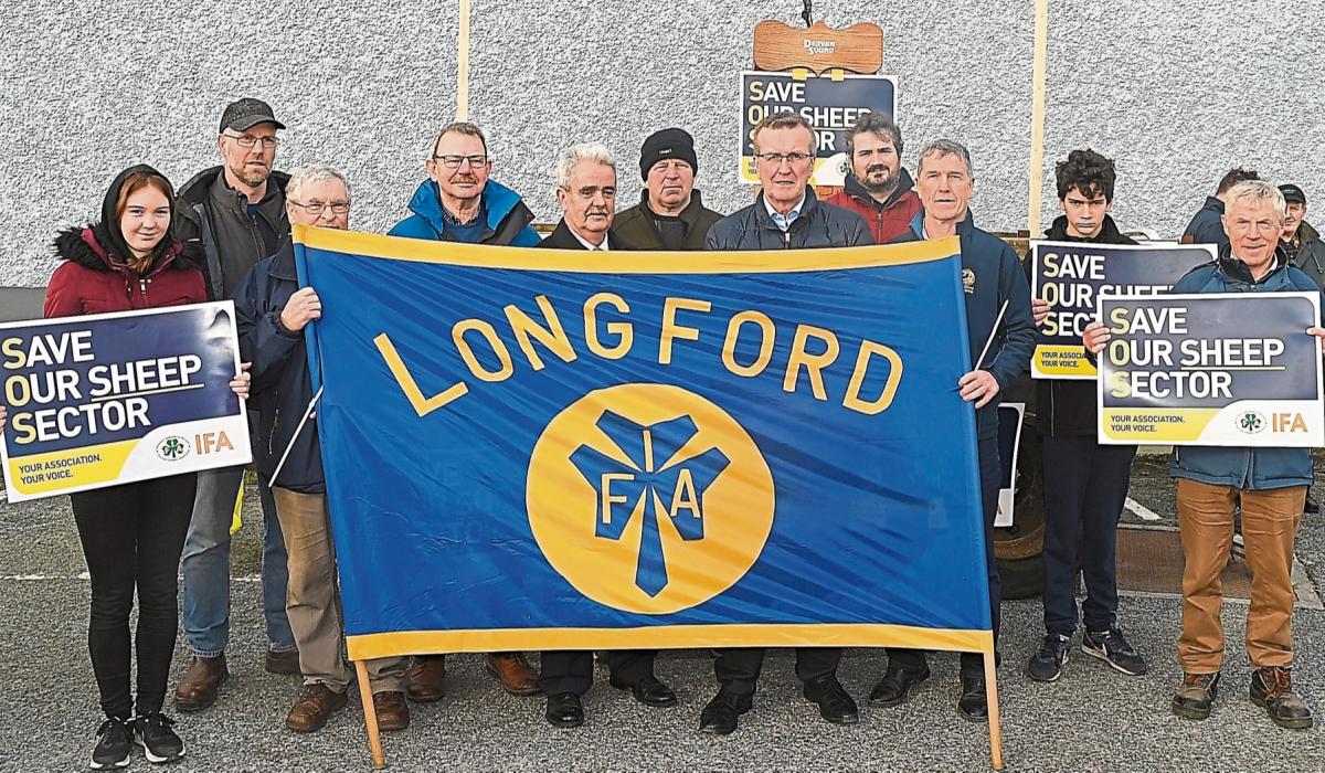 Longford farmers take part in IFA sheep protest Longford Live