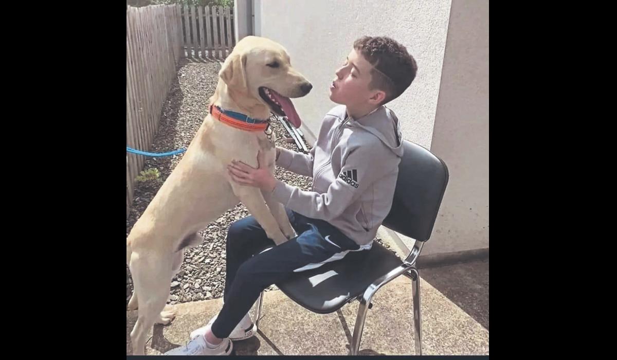 Longford's Cian’s Kennels in bid to open in new Children’s Hospital