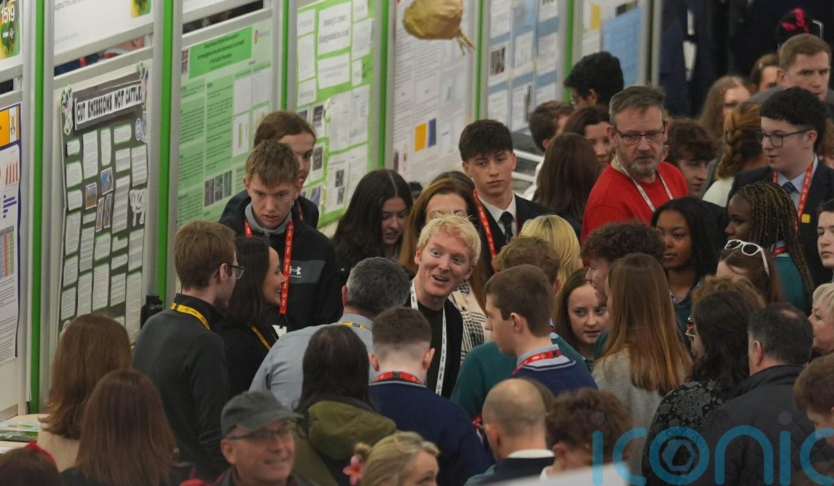 Kerry teen wins 2026 Young Scientist with brain cancer treatment tool