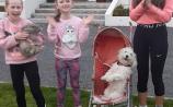 WATCH | Longford girls assisted by their dog Minnie applaud trojan work of our frontline heroes 