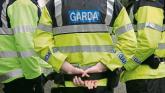 Gardaí confident of arrests following Longford brawl where man suffered severe ear injury