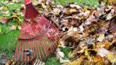 rake