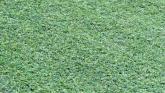 astroturf