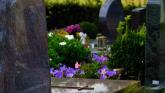 grave