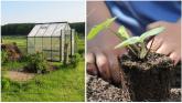 Green fingers: Timely cash injection for Longford community garden and allotments project
