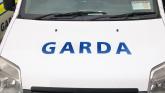 Three months in prison for stealing groceries worth €44 from Midlands store