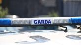 Banned Longford driver was picking up food for his wife when garda&iacute; stopped him at checkpoint