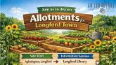 Longford allotment