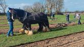 'Milestone event' Longford competitors to fore at 90th Ploughing Championships
