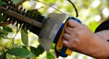 Hedge cutting