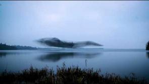 WATCH: Truly stunning video catches flock of starlings forming into shape of a bird in the Midlands