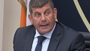 Doyle welcomes Budget 2018 allocation for forestry, horticulture, organics and greyhound Sectors
