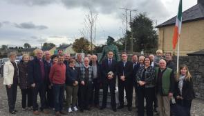 Taoiseach Leo Varadkar to visit Longford and Edgeworthstown as general election campaign intensifies 