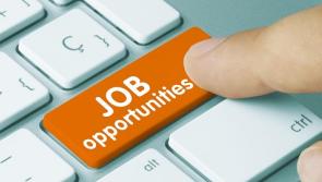 Longford jobs round-up: Who's hiring in the county this week?