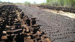 Vast amount of peatland in Longford and Roscommon transformed into Carbon Store in 2021