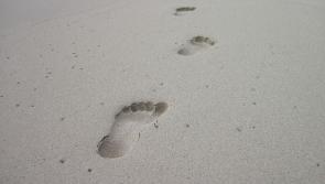 Choosing Funeral  readings and reflections 