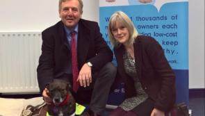 €388,000 for Longford animal welfare organisations