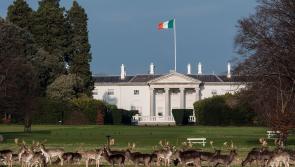 20 Presidential Hopefuls Set To Appear Before Longford County Council This Monday 