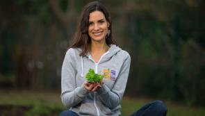 Wellness Coach Alison Canavan wants to Get Longford Growing