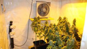Breaking News: Gardaí in €200,000 drugs seizure at highly sophisticated grow house 
