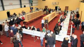General Election 2016 cost over €260k to stage in Longford-Westmeath