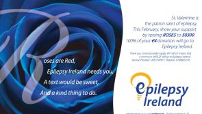 Epilepsy Ireland seeking Rose Week volunteers 