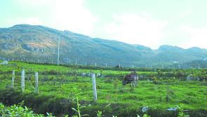 Longford Leader Farming: Calls for clarity on GLAS payments