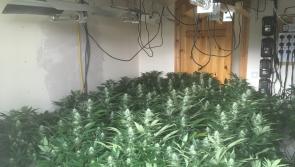 Polish national to reappear in court on Friday following €70k cannabis seizure in Longford
