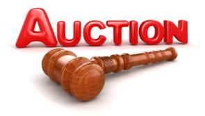 St John’s Community Centre monster auction 