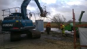 Tree cutting at Madden's Island improves navigation along River Shannon