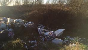 Photo gallery: Deplorable levels of illegal dumping in Strokestown area