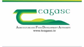 Forest Advisory Clinic in Longford 