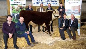 Exciting times for County Longford Agricultural Show as new venue announced for 2017 event