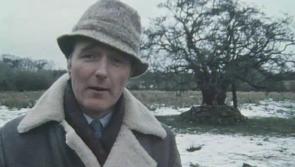 From the archives, February 18, 1983: RTÉ reports from the Fairy Tree of life in Ardagh