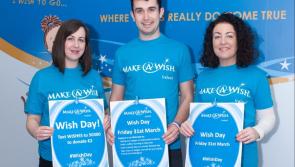 Volunteers are needed in Longford to support work of Make-A-Wish Ireland