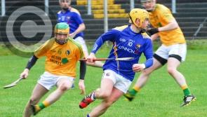 Longford hurlers beat Leitrim to remain on course for promotion 
