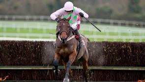 THE PUNTER'S EYE: Cheltenham Day 1 Preview