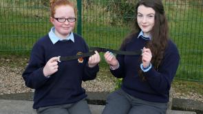 Enterprising students at Moyne CS in Longford develop the ‘Bin Belt’