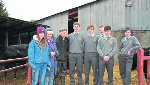 Back to the future with Angus beef at Wilson's Hospital School 