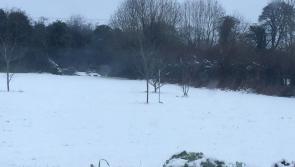 ESB 'on full level of preparedness' for extreme weather this week