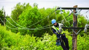 Large ESB fault in south Longford