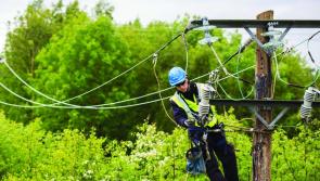 Longford homes without electricity as Storm Elsa sweeps country