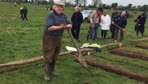 Longford Leader live at the National Ploughing Championships 2017