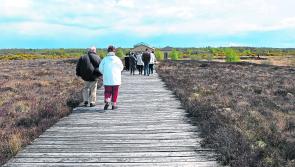 Corlea Trackway given €130k boost