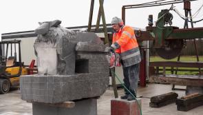 Sheep farmers in Longford looking forward to Roscommon Lamb Festival