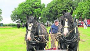 The ploughman and the stars 