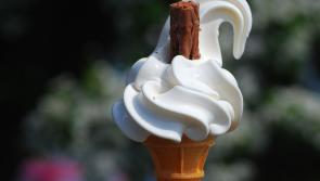 POLL: Where can we find Longford's best 99 cone?