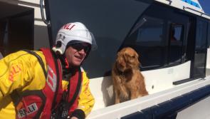 Lough Ree RNLI assist four people and their dog aboard grounded 40ft motor cruiser